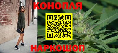мяу мяу мука Краснознаменск