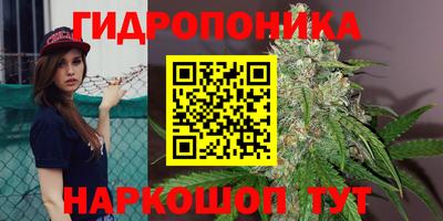 a pvp Краснокаменск
