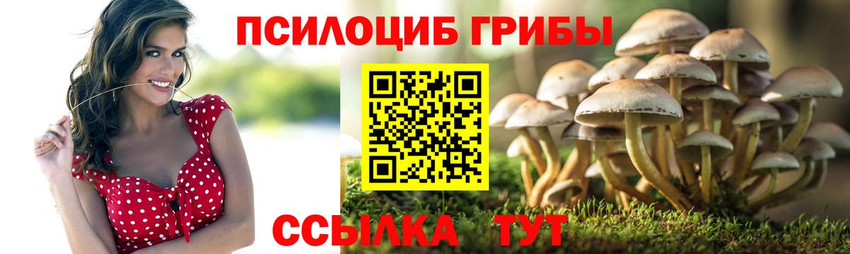 наркошоп  Вход с VPN  Кингисепп  Галлюциногенные грибы GOLDEN TEACHER 